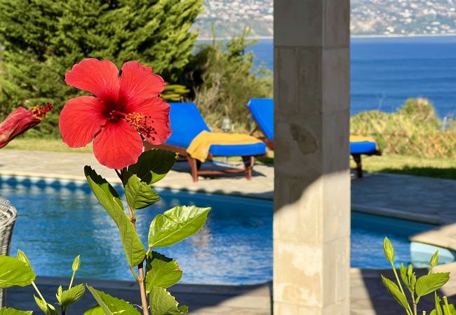 Villa in Spartia - Villa Dionysos Villa in Spartia - Villa Dionysos