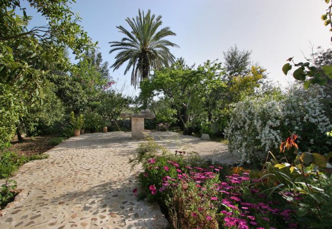 Villa in Pollensa / Pollença - El Cutxaco Villa in Pollensa / Pollença - El Cutxaco
