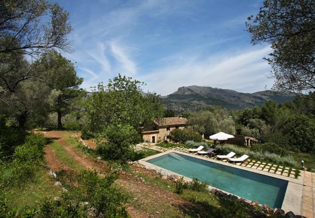 Villa/Dettached house in Pollensa / Pollença - Villa Pascaul