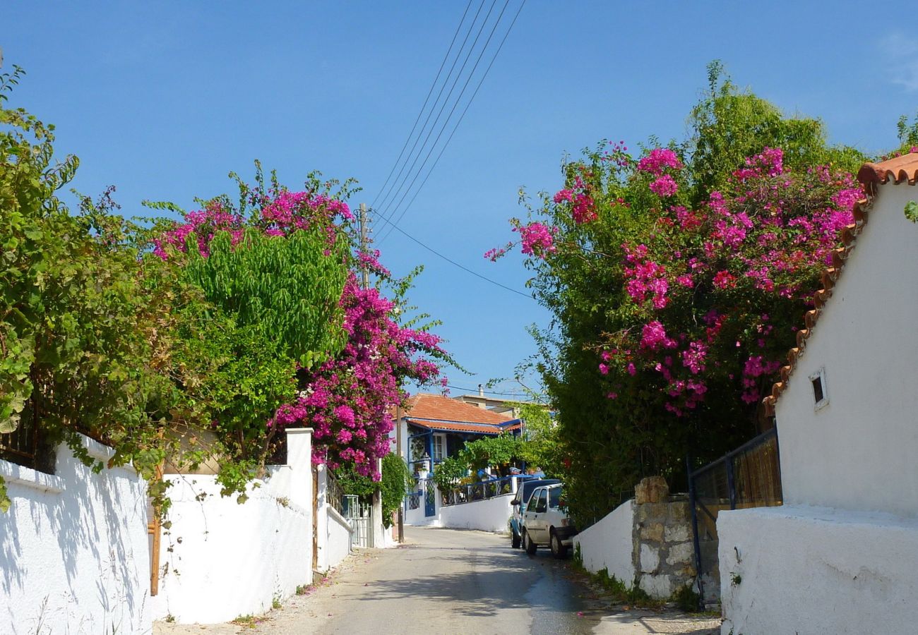 Villa in Spartia - Villa Alexandros