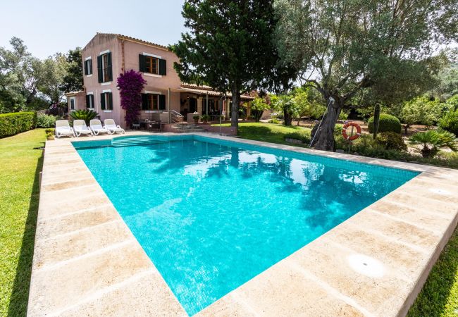 Villa in Port d´Alcudia - Villa Alzina Villa in Port d´Alcudia - Villa Alzina