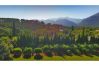 Villa in Pollensa / Pollença - Villa Llop Villa in Pollensa / Pollença - Villa Llop