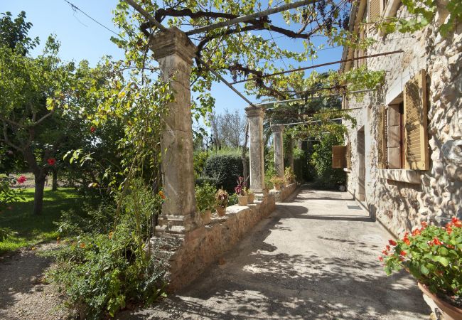 Villa Punxa, garden