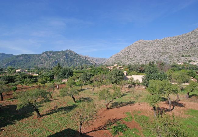 Villa in Pollensa / Pollença - Villa Punxa Villa in Pollensa / Pollença - Villa Punxa