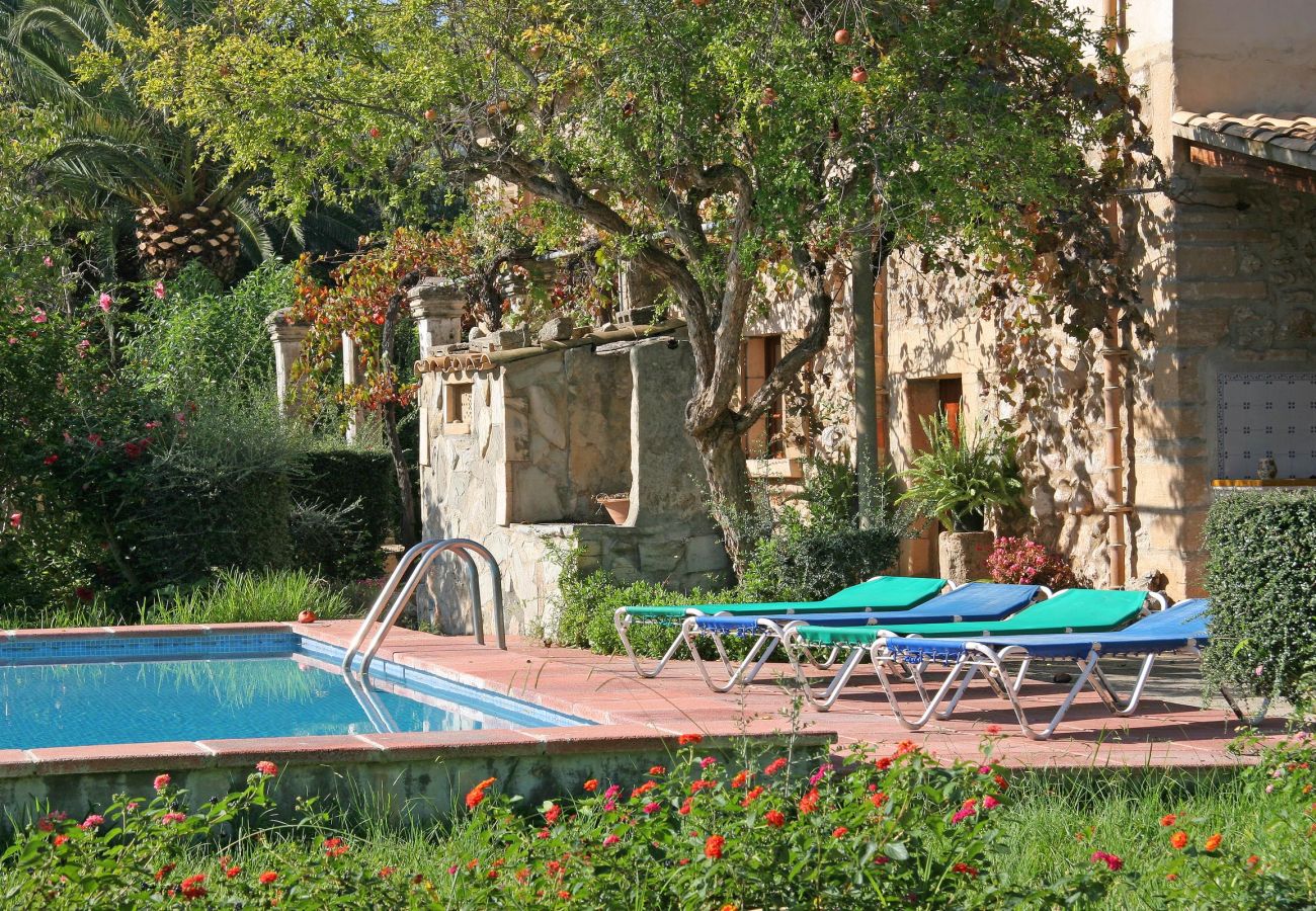 Villa Punxa, swimming pool