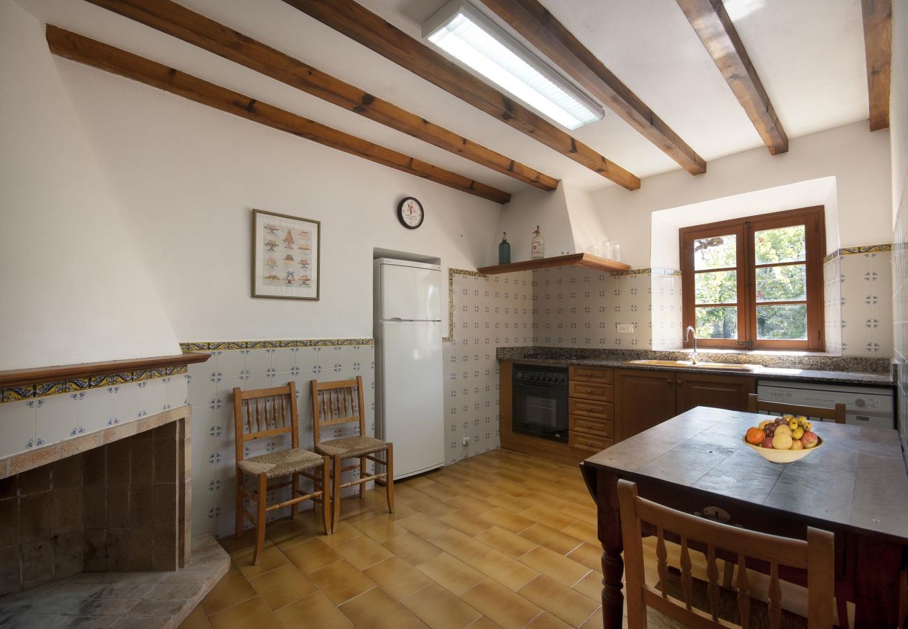 Villa Punxa, kitchen