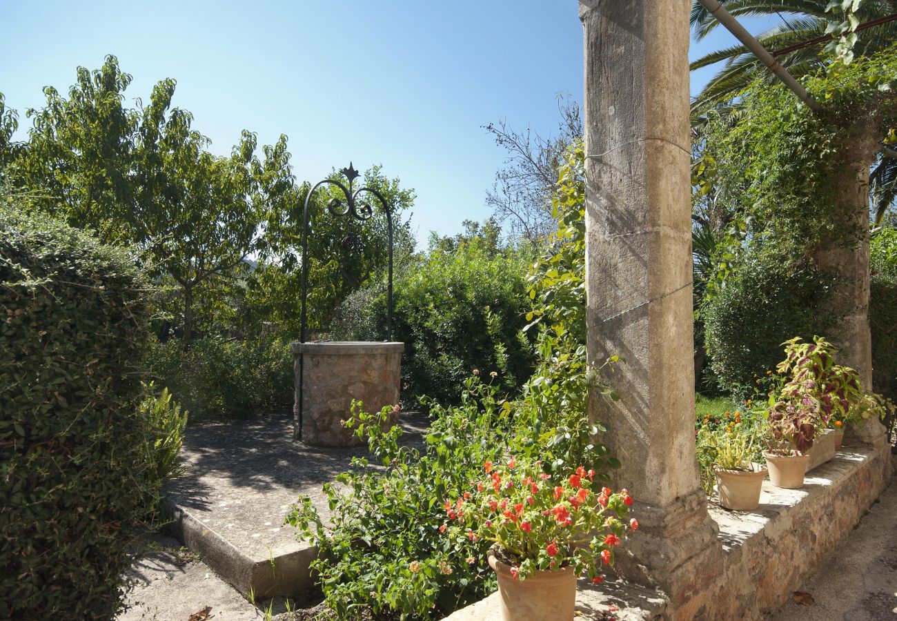 Villa Punxa, garden
