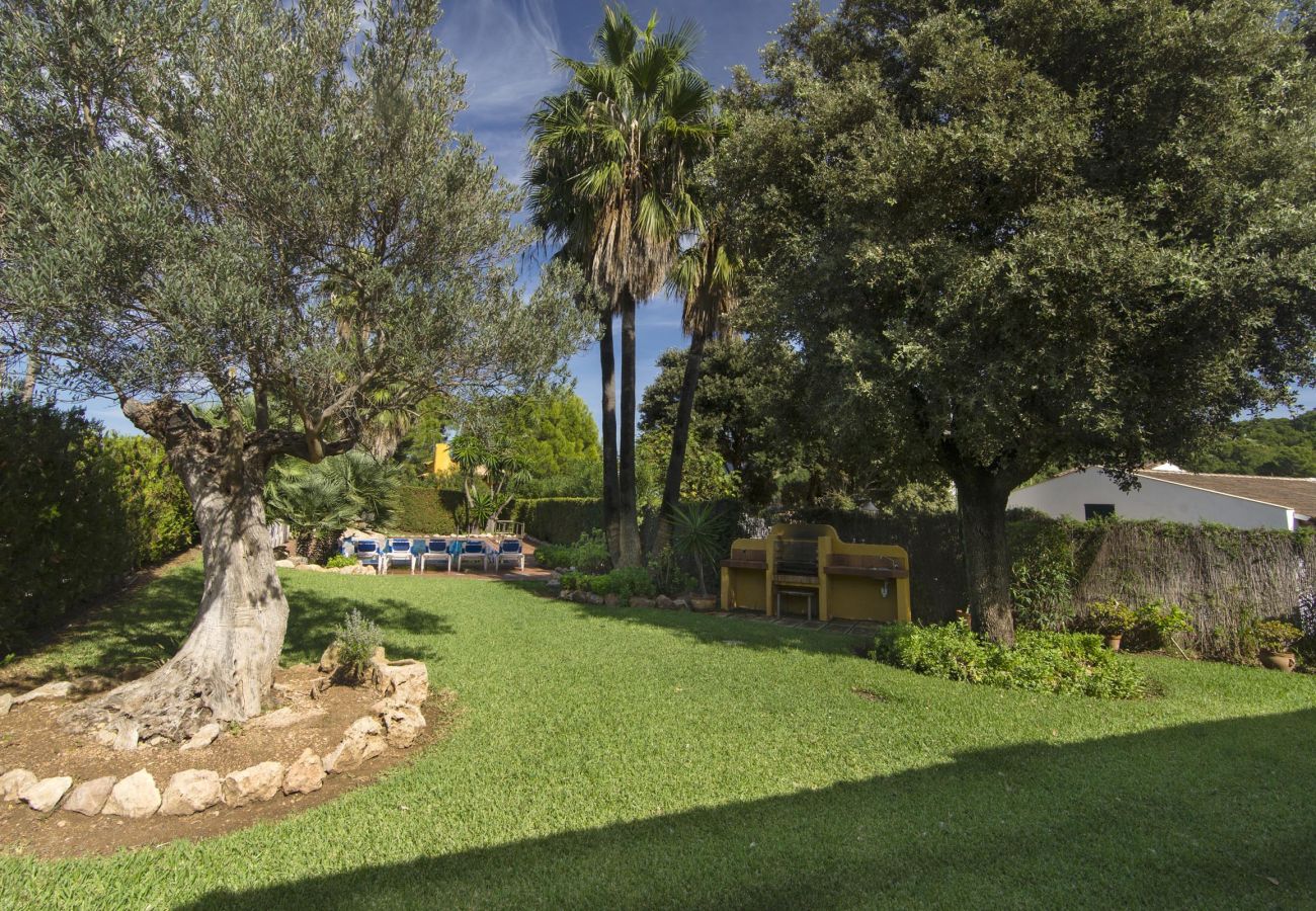 Villa in Cala San Vicente - Villa Formosa