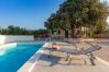 Villa in Pucišca - Villa Dubrava Villa in Pucišca - Villa Dubrava