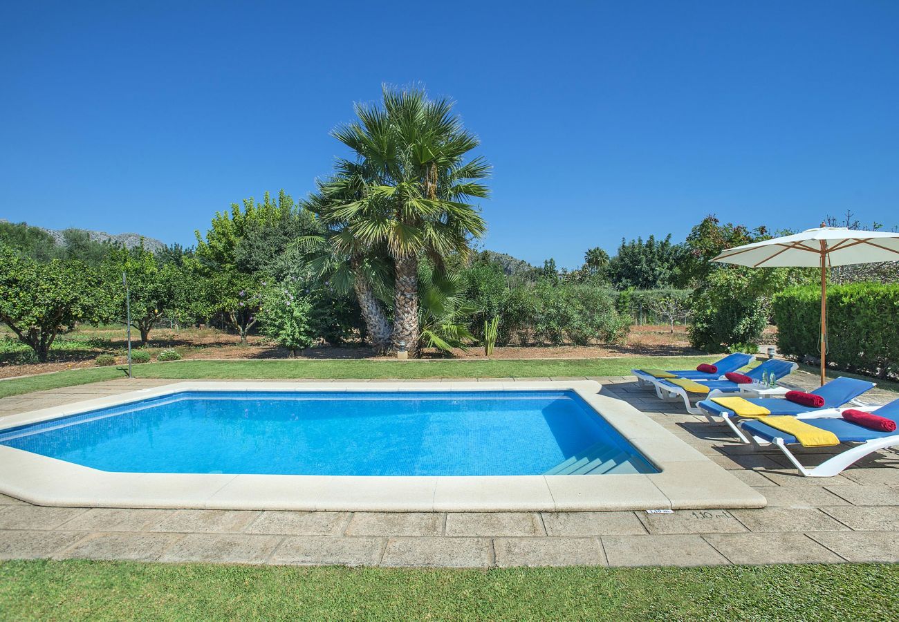 Villa in Pollensa / Pollença - Almendra Boi