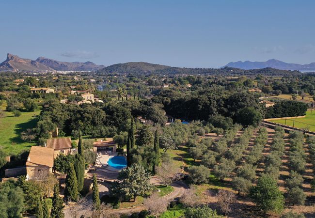 Villa in Port de Pollença - Villa Bennassar Villa in Port de Pollença - Villa Bennassar