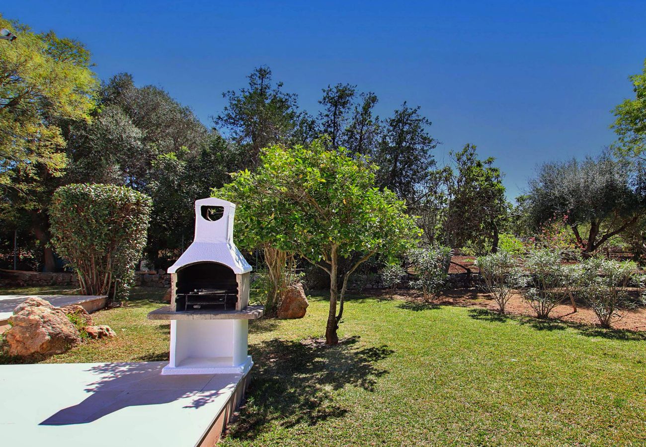 Villa in Pollensa / Pollença - Villa Alegre