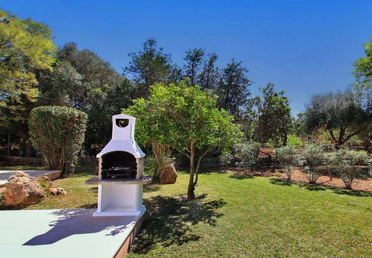 Villa in Pollensa / Pollença - Villa Alegre