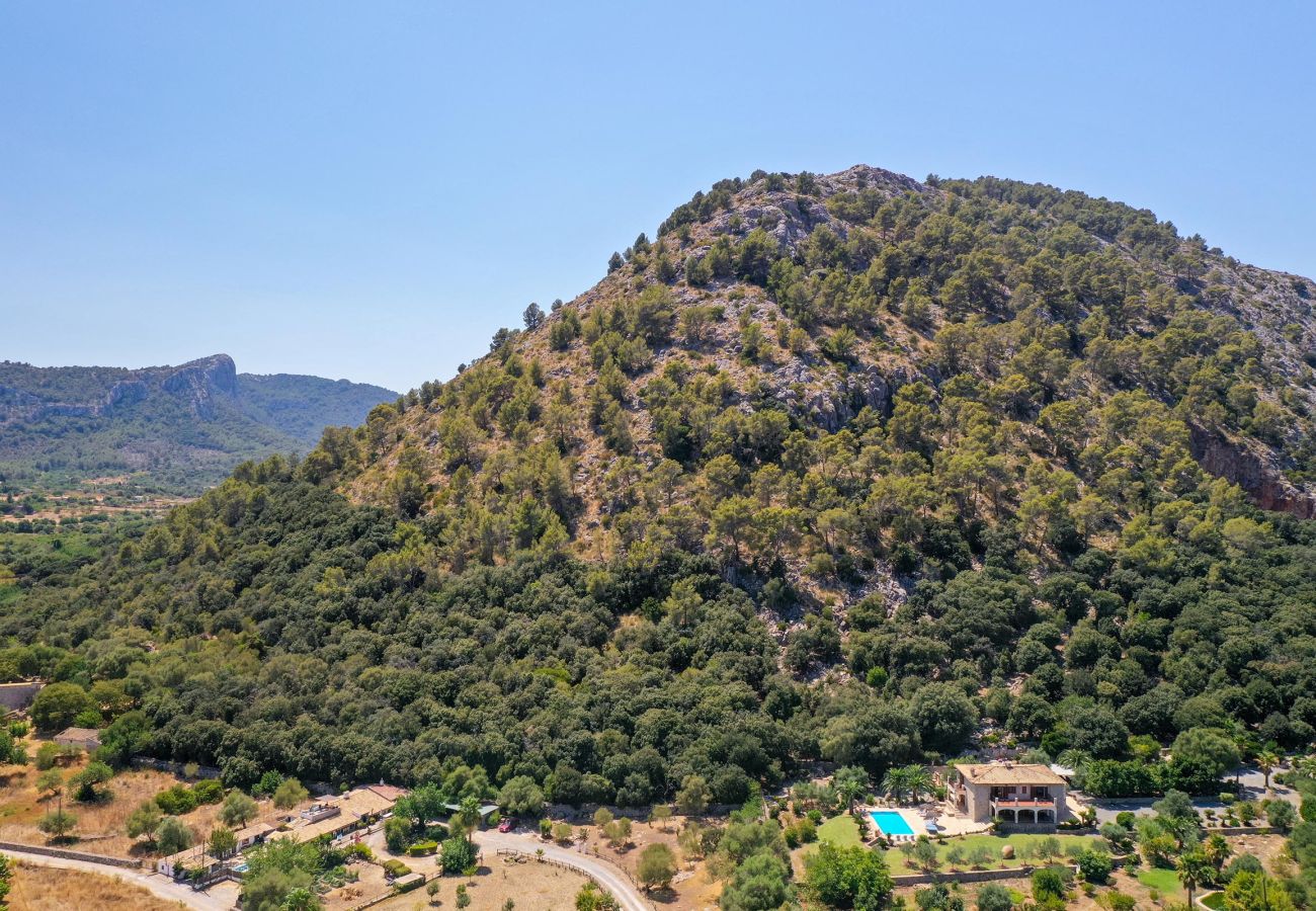 Villa in Pollensa / Pollença - Villa Plomera