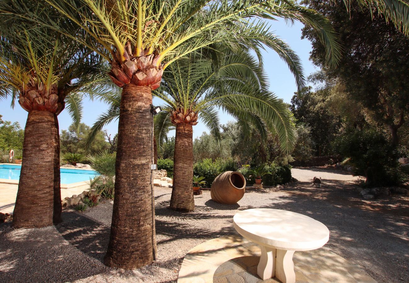 Villa in Pollensa / Pollença - Villa Plomera