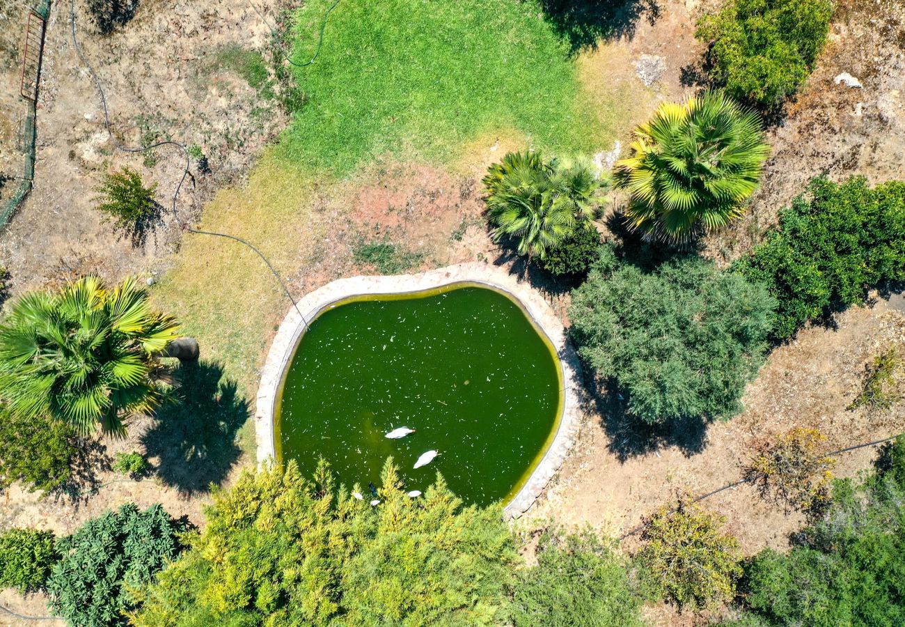 Villa in Pollensa / Pollença - Villa Plomera