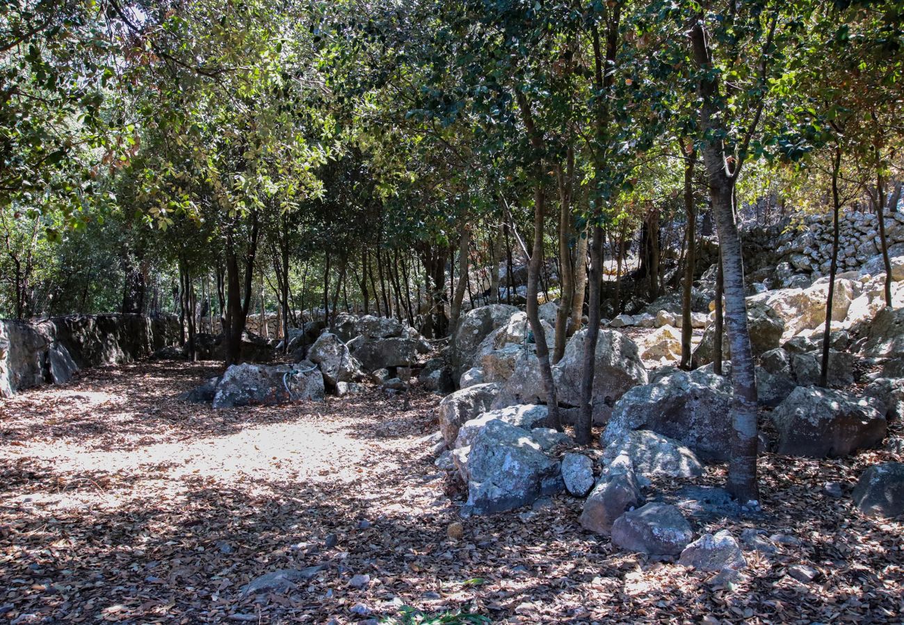 Villa in Pollensa / Pollença - Villa Plomera