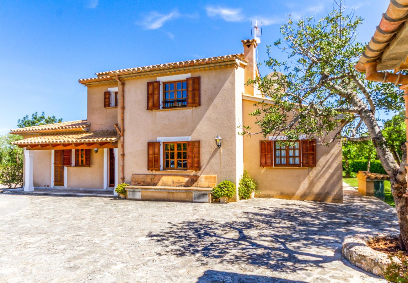 Villa in Pollensa / Pollença - Villa Rei Petit