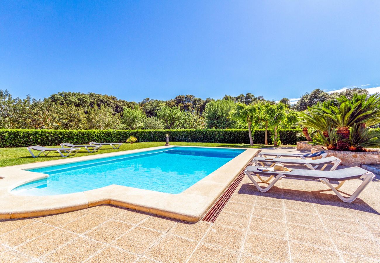 Villa in Pollensa / Pollença - Villa Rei Petit