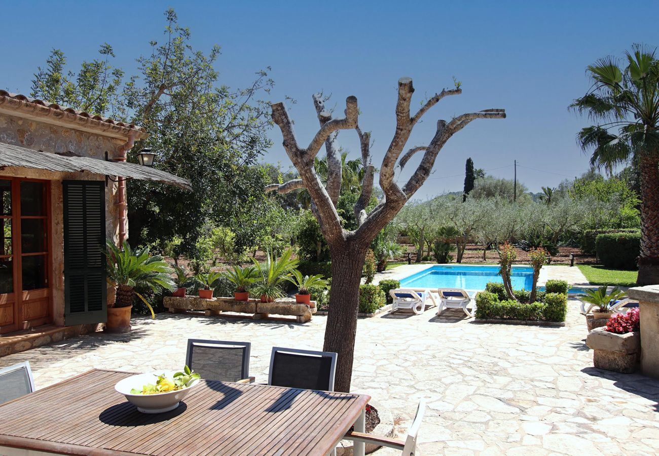 Villa in Pollensa / Pollença - Villa Martorell