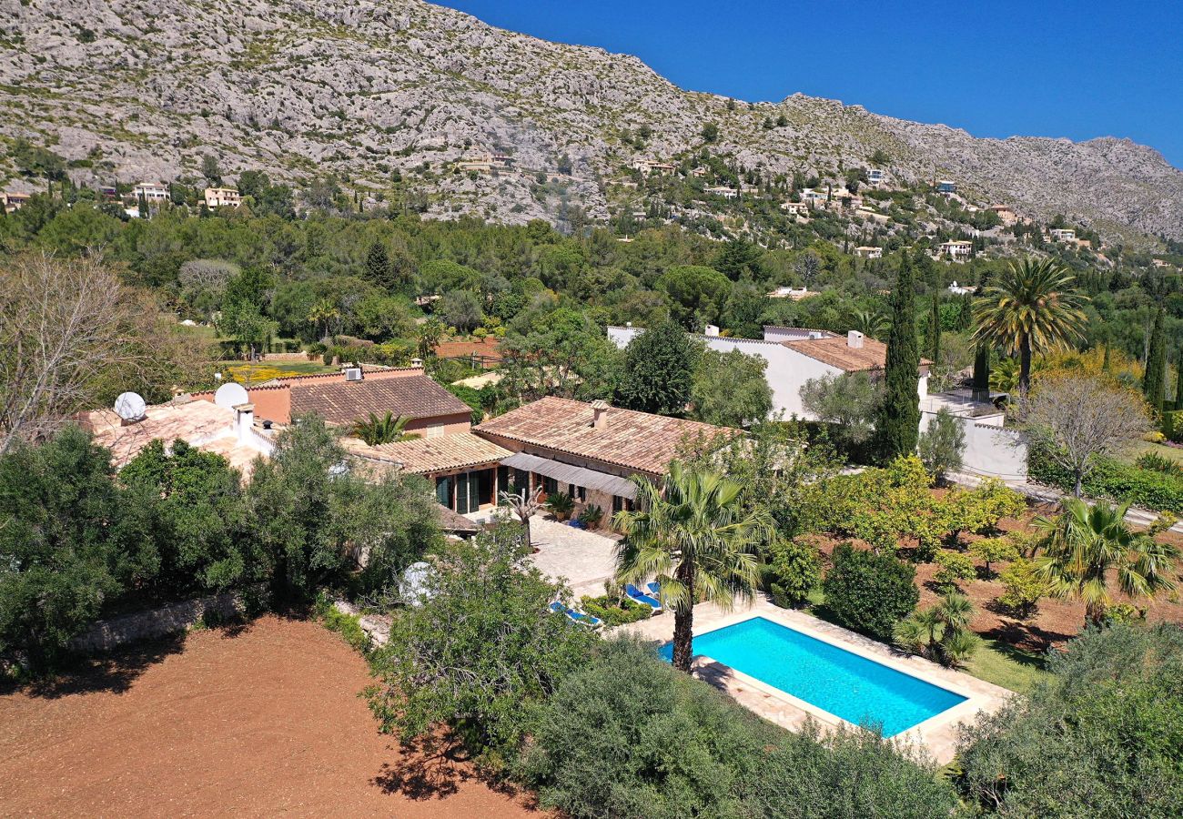 Villa in Pollensa / Pollença - Villa Martorell