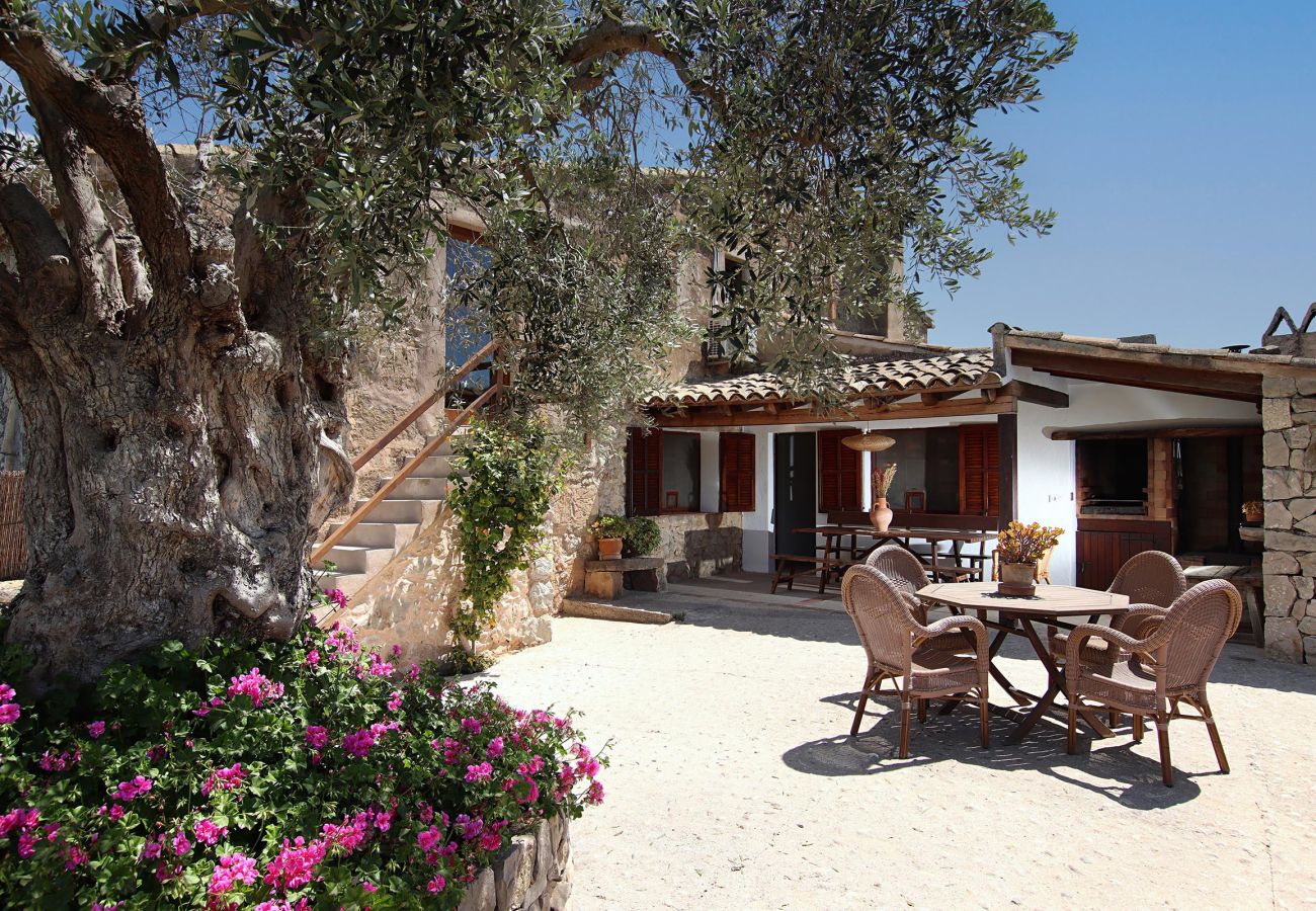 Villa in Alcudia - Villa Sou