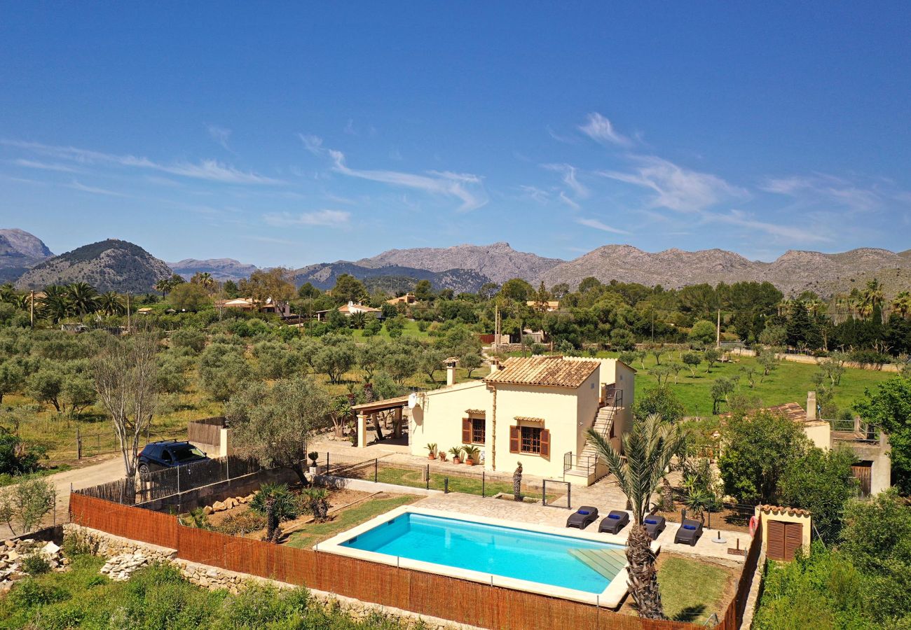Villa in Port de Pollença - Villa Tolo