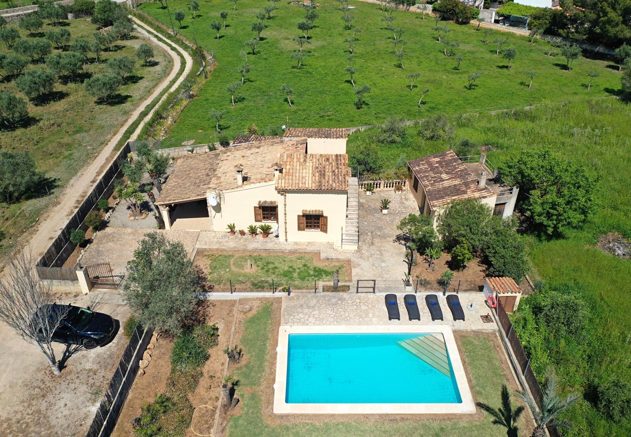 Villa in Port de Pollença - Villa Tolo