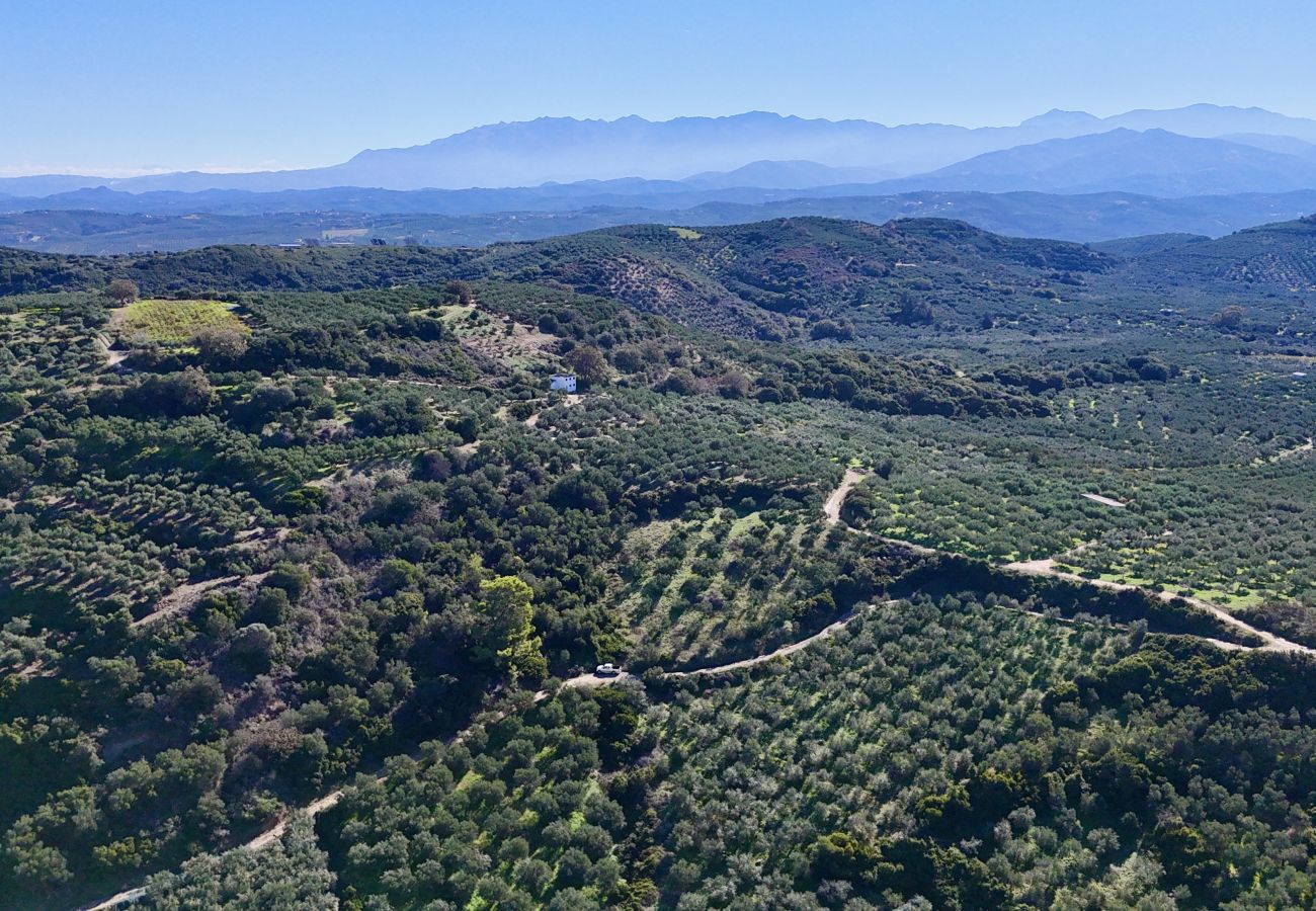 Villa in Kissamos - Villa Dioni