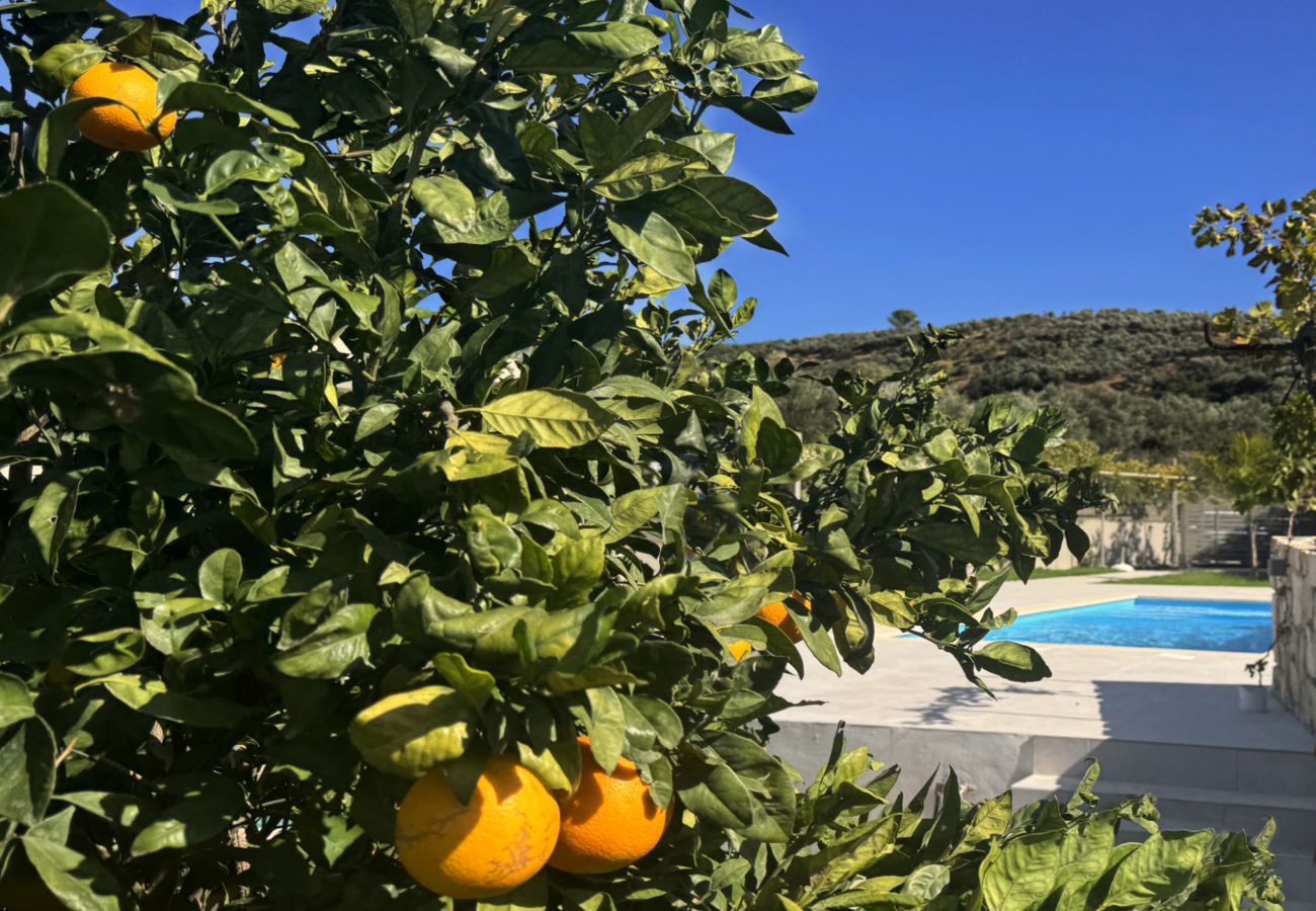 Villa in Kissamos - Villa Dioni